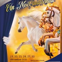 affiche-A3-2020--un-noel-inattendu