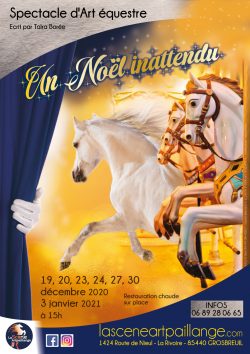 affiche-A3-2020--un-noel-inattendu