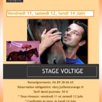 stage voltige douziech 11 12 14 juin 2021