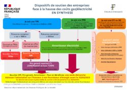 CDSC85_2023-03-27_DispositifsENERGIE_LOGIGRAMME_ENTREPRISE_page-0002